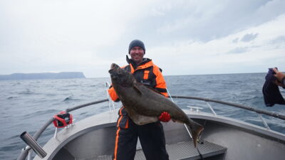 Turbot, 19.5 kg