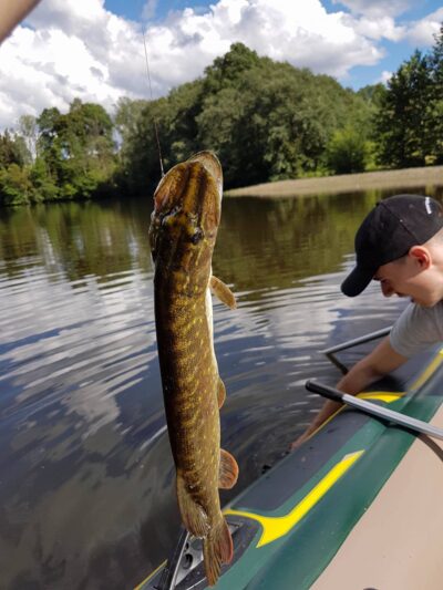 Northern Pike — Altoniškių