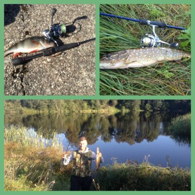 Northern Pike — Pašiaušės I-asis