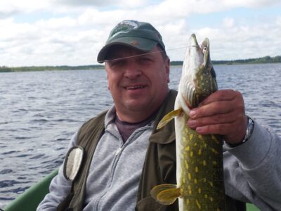 Northern Pike, 1.5 kg