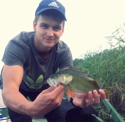 Eurasian perch, 0.3 kg