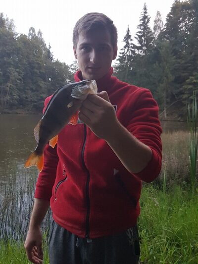 Eurasian perch — Altoniškių