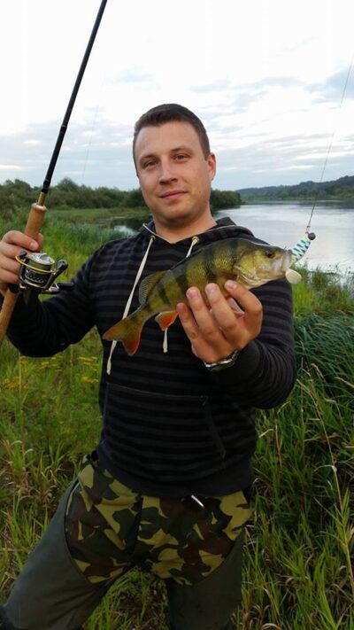 Eurasian perch — Neman River