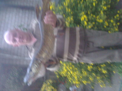 Northern Pike ×4 — Salotis