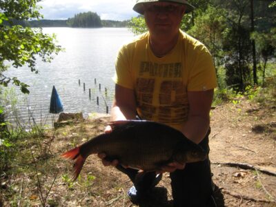 Carp bream, 2.9 kg — Paštys