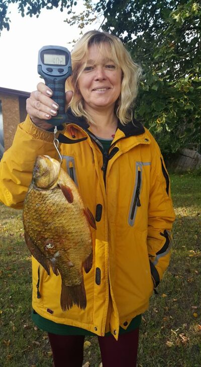 Crucian carp, 1.0 kg