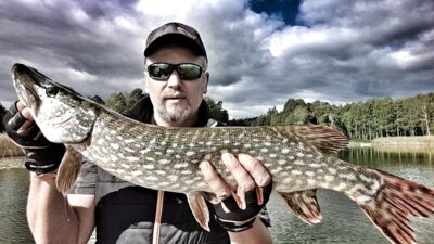 Northern Pike, 3.1 kg