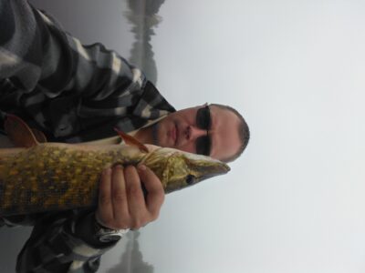 Northern Pike, 1.6 kg