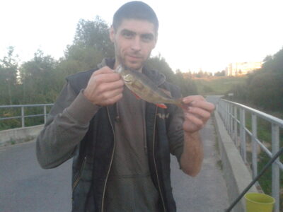 Eurasian perch, 0.6 kg — Lėvuo
