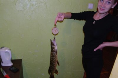Northern Pike, 1.7 kg — Neris River