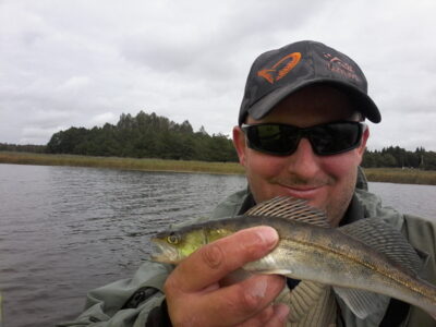 Pike perch, 8.5 kg
