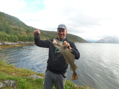 Atlantic cod