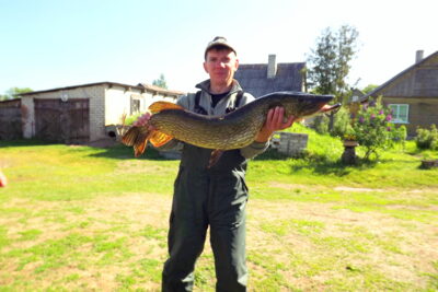 Northern Pike, 7.5 kg
