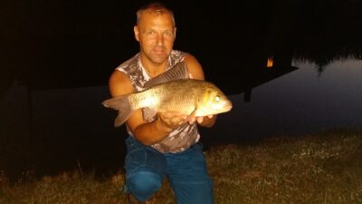 Prussian carp, 1.3 kg