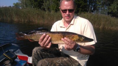 Northern Pike, 2.1 kg