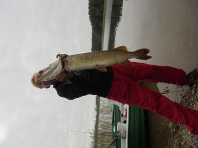 Northern Pike, 6.3 kg