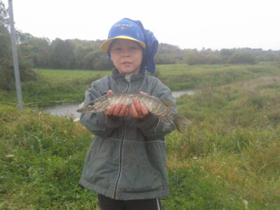 Northern Pike, 0.3 kg — Lėvuo