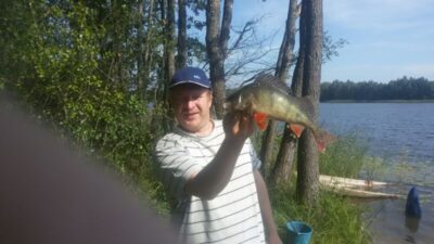 Eurasian perch, 1.0 kg — Kiaunas