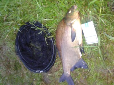 Carp bream, 1.9 kg — Neris River