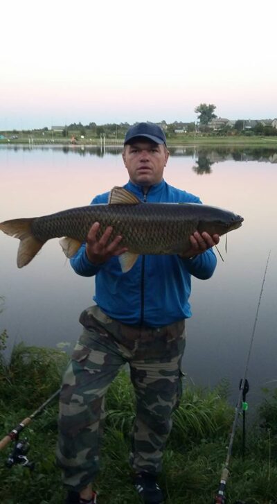 Grass carp, 6.7 kg