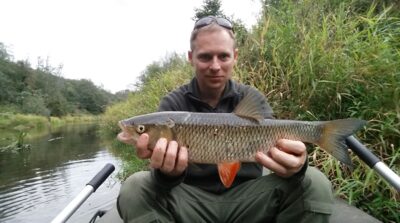 chub — Širvinta