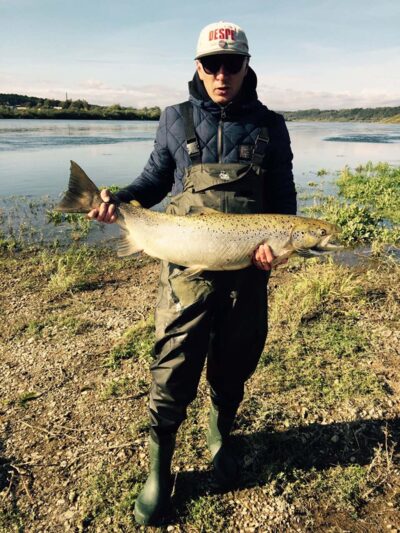 Atlantic salmon, 10.7 kg