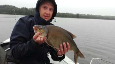 Carp bream, 2.0 kg