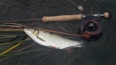 chub — Žeimena