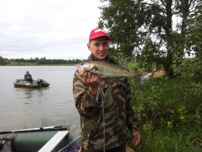 Pike perch, 0.9 kg — Kupiškio