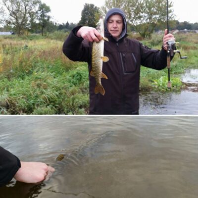Northern Pike — Neman River