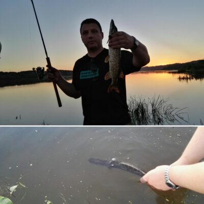 Northern Pike — Neman River
