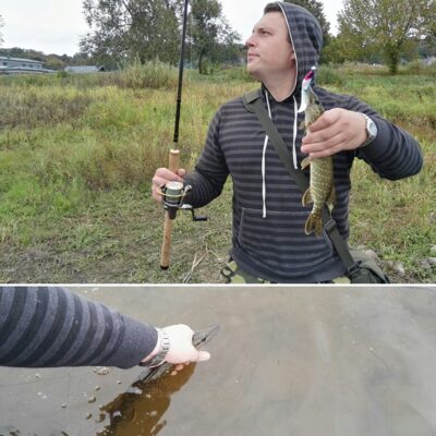 Northern Pike — Neman River