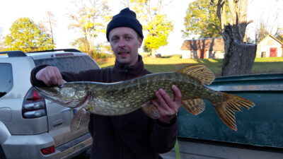 Northern Pike, 3.6 kg