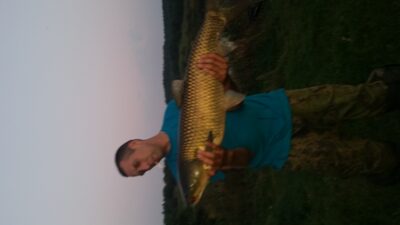 Grass carp, 10.7 kg