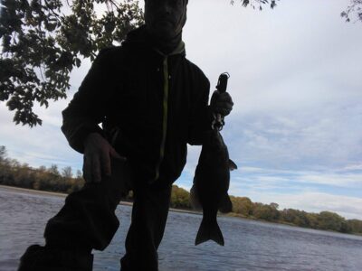 Largemouth Bass