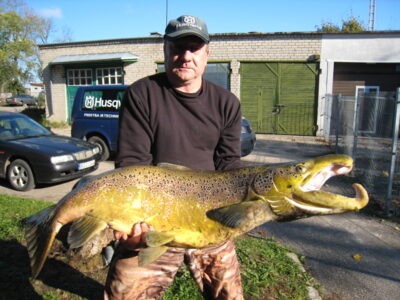 Atlantic salmon, 19.2 kg — Neris River