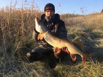 Northern Pike, 8.2 kg