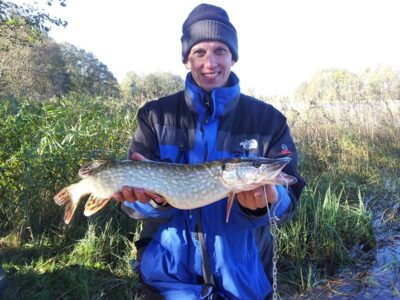 Northern Pike — Vidinkstas