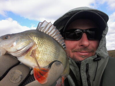 Eurasian perch, 0.3 kg