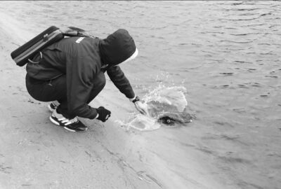 Northern Pike, 1.2 kg — Šventoji