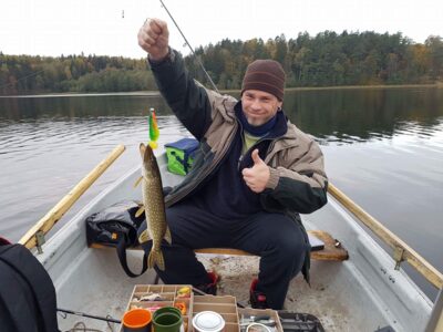 Northern Pike — Vilkokšnis