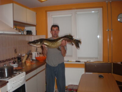 Northern Pike, 8.8 kg — Ageniškio