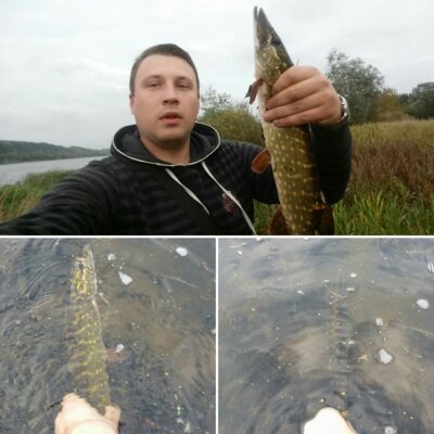 Northern Pike — Neman River