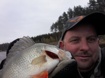 Eurasian perch, 0.3 kg
