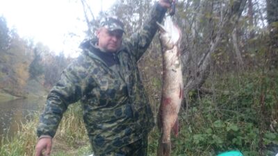 Northern Pike ×3