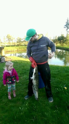 Wels catfish, 4.7 kg