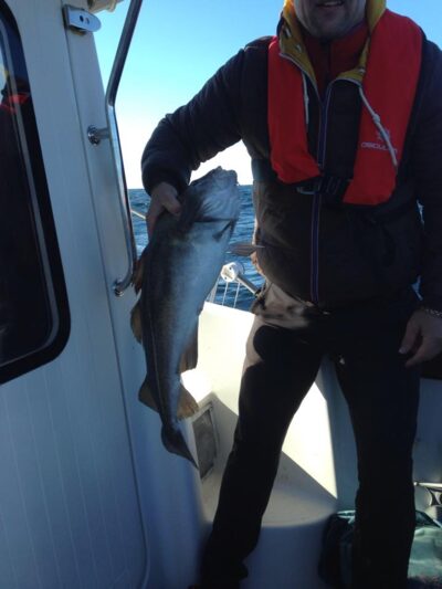 Atlantic cod