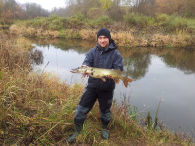 Northern Pike