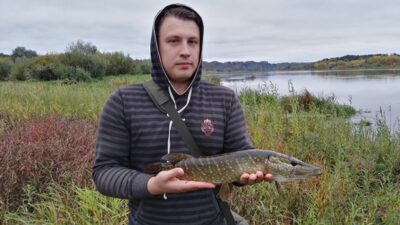 Northern Pike — Neman River