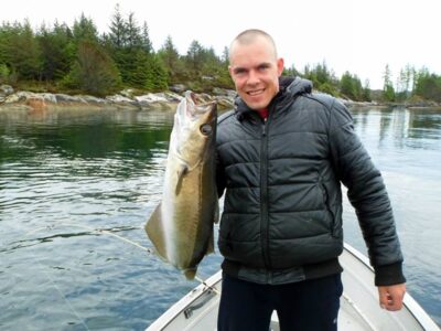 Pollock, 5.2 kg — Norwegian Sea